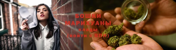 гидра Алексин