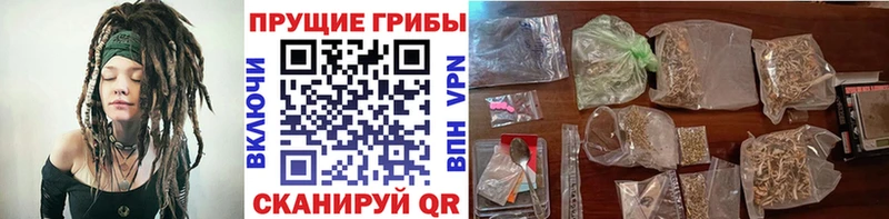 Псилоцибиновые грибы MAGIC MUSHROOMS Истра