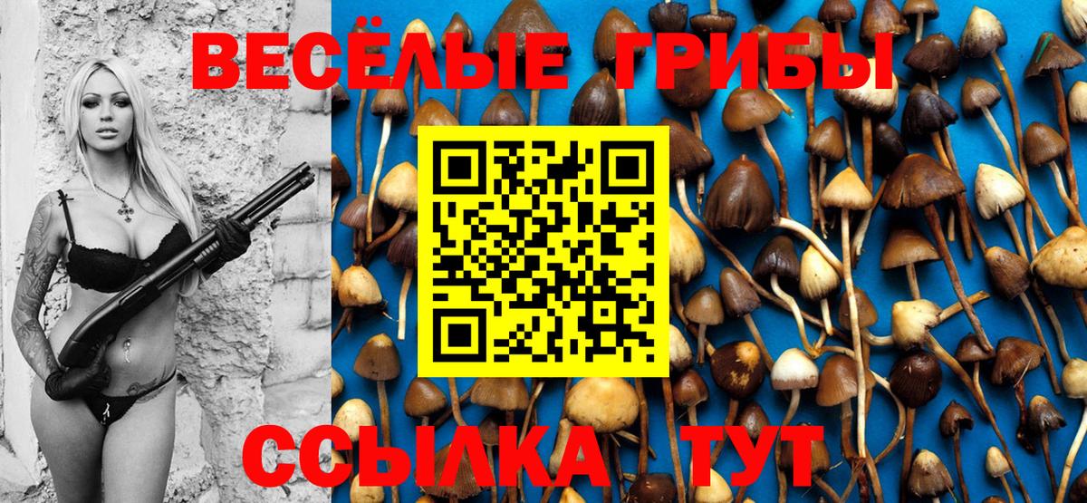 Галлюциногенные грибы Psilocybine cubensis Истра