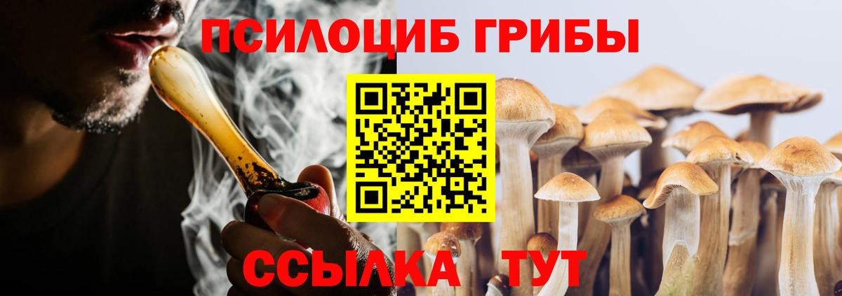 Галлюциногенные грибы Psilocybine cubensis  Вход с VPN  Истра 